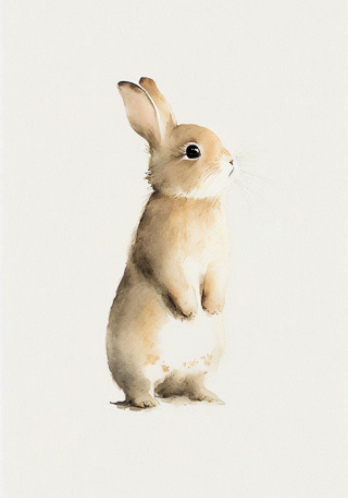 L'affiche animal pour enfant Baby Rabbit de chez David and David Studio