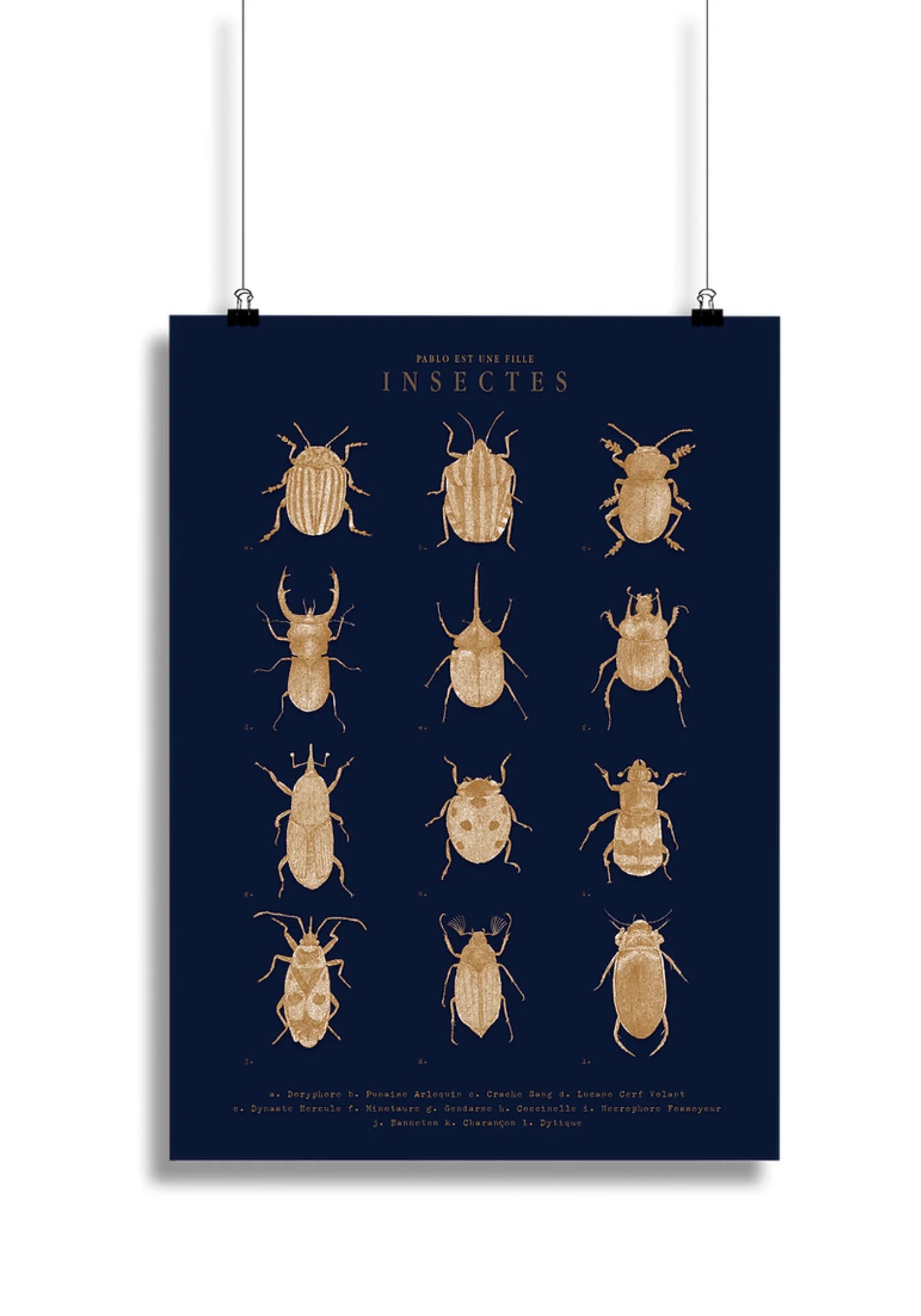 L'affiche Insectes de chez Pablo est une fille