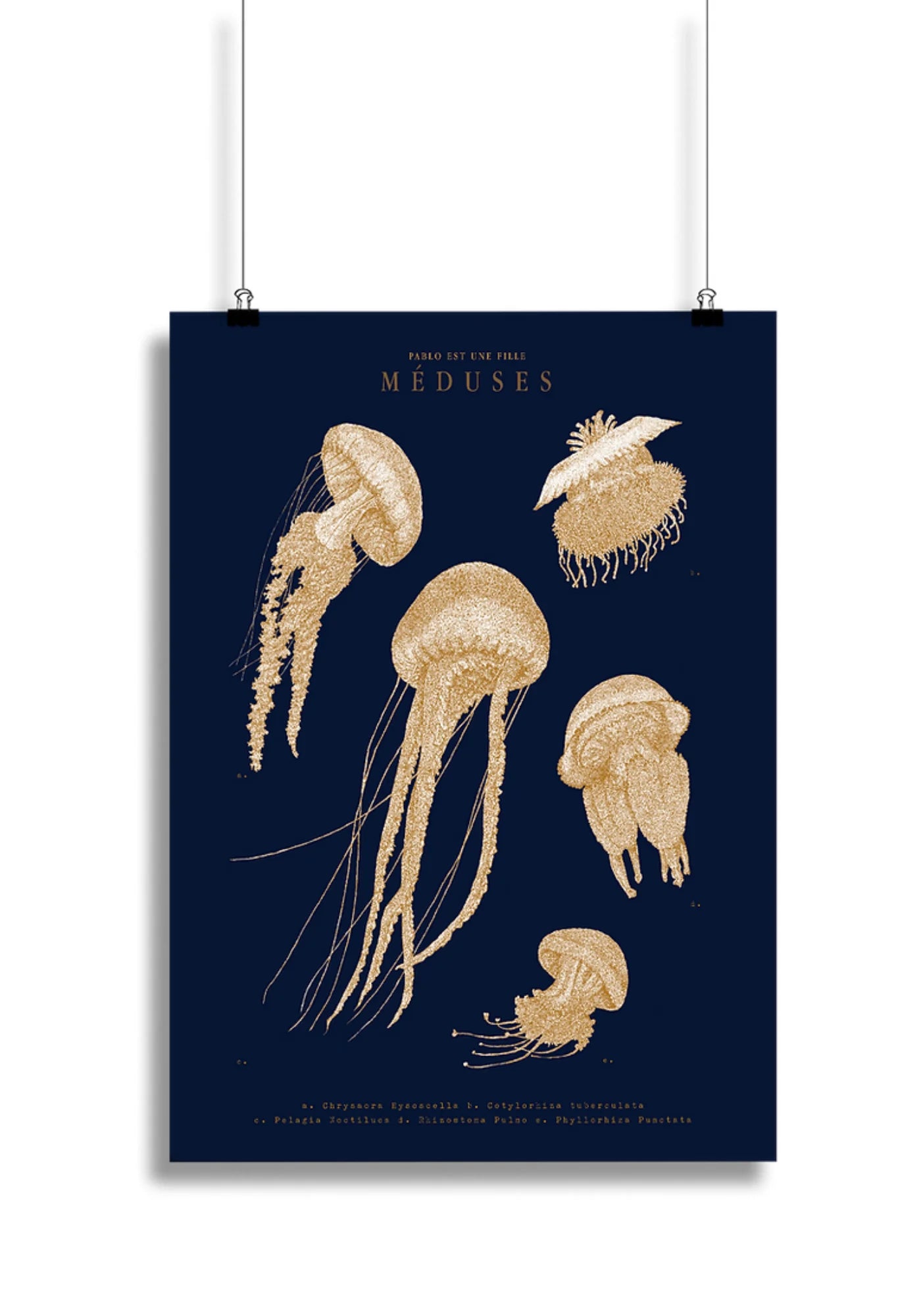 L'affiche Méduses de chez Pablo est une fille