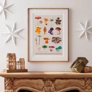 L'affiche Les Champignons de chez Maison Paula