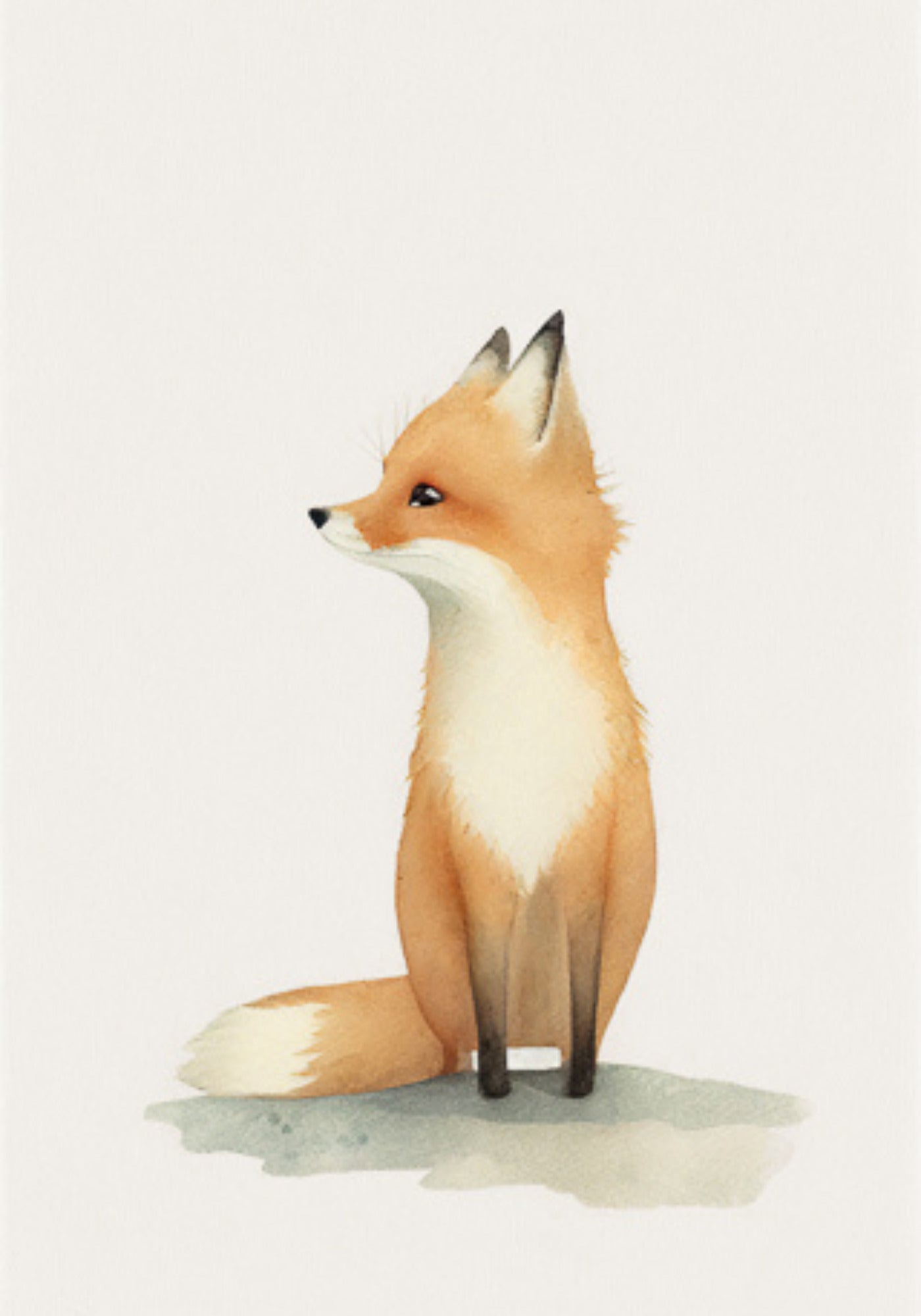 L'affiche animal pour enfant Baby Fox de chez David and David Studio