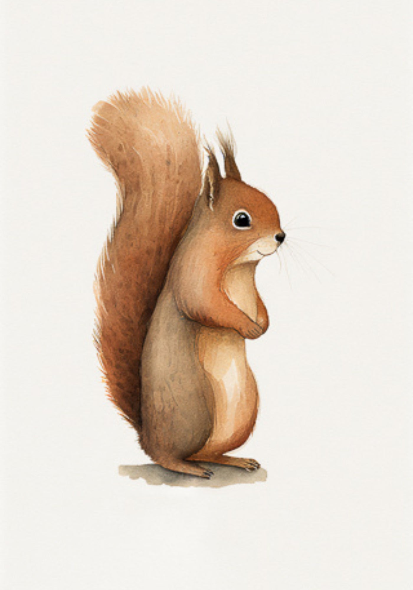 L'affiche animal pour enfant Baby Squirrel de chez David and David Studio