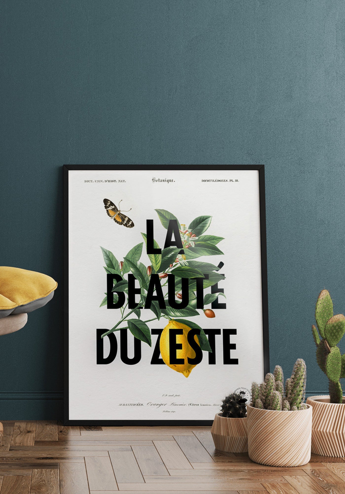 L'affiche illustration et typographie "La beauté du zeste" en 21x30 cm et 30x40 cm de chez Studio Topo posée au sol avec des cactus