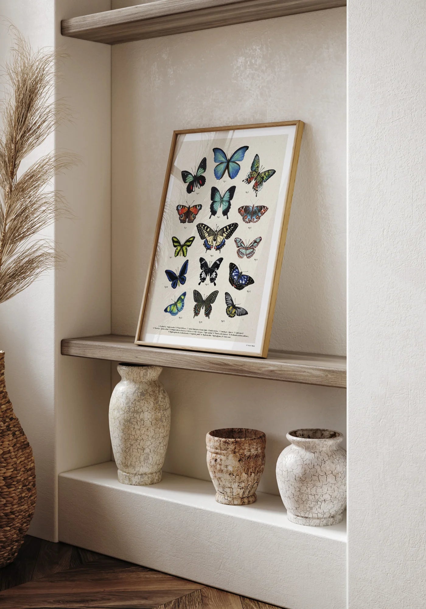 L'affiche planche entomologique Papillons de chez Maison Paula