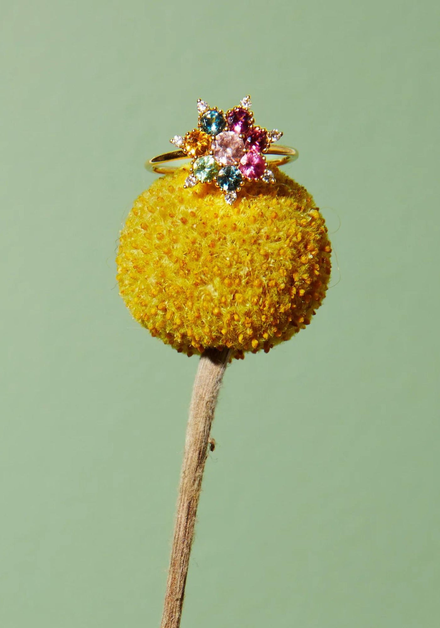 La bague en or jaune Arcoiris pour femme de chez Rosa Maïtea posée sur une fleur