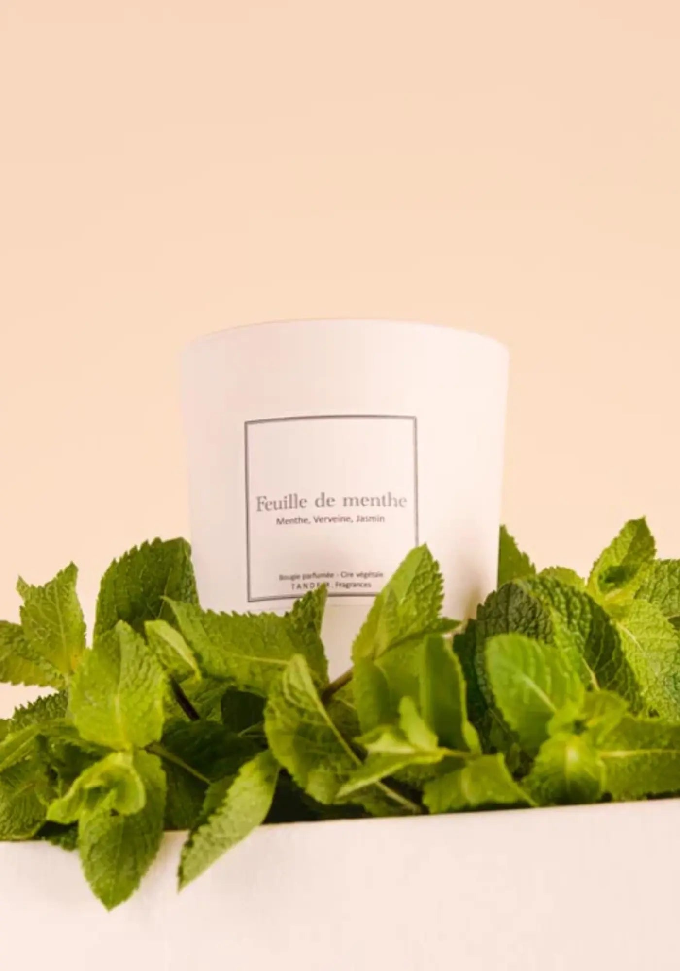 La bougie 180g Feuille de menthe de chez Tandem Fragrances