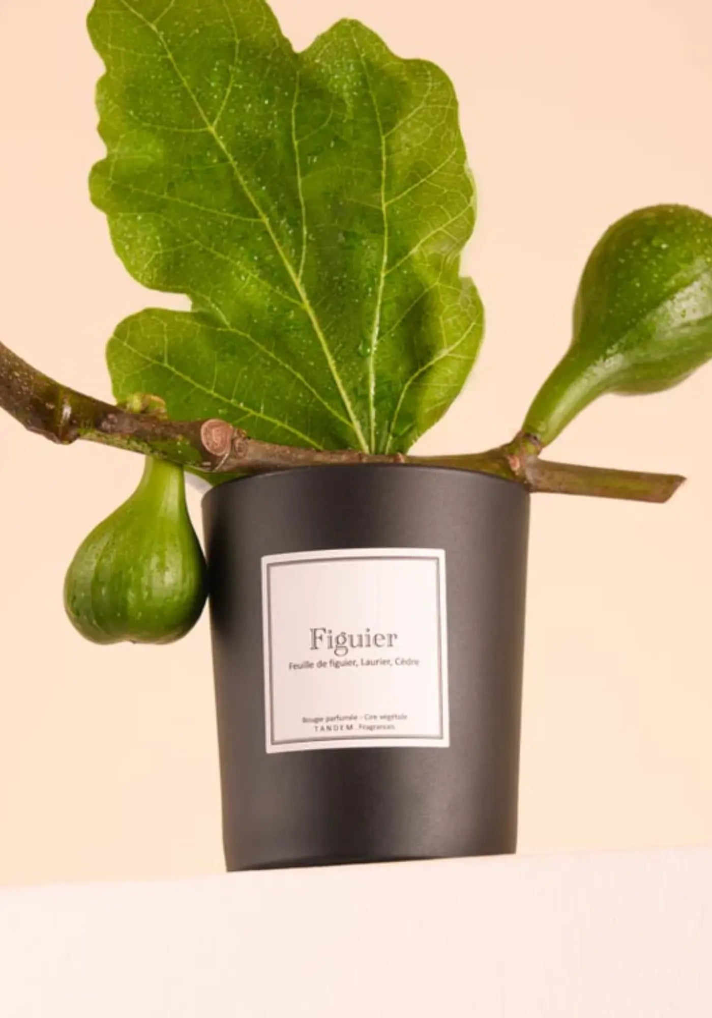 La bougie 180g Figuier de chez Tandem Fragrances