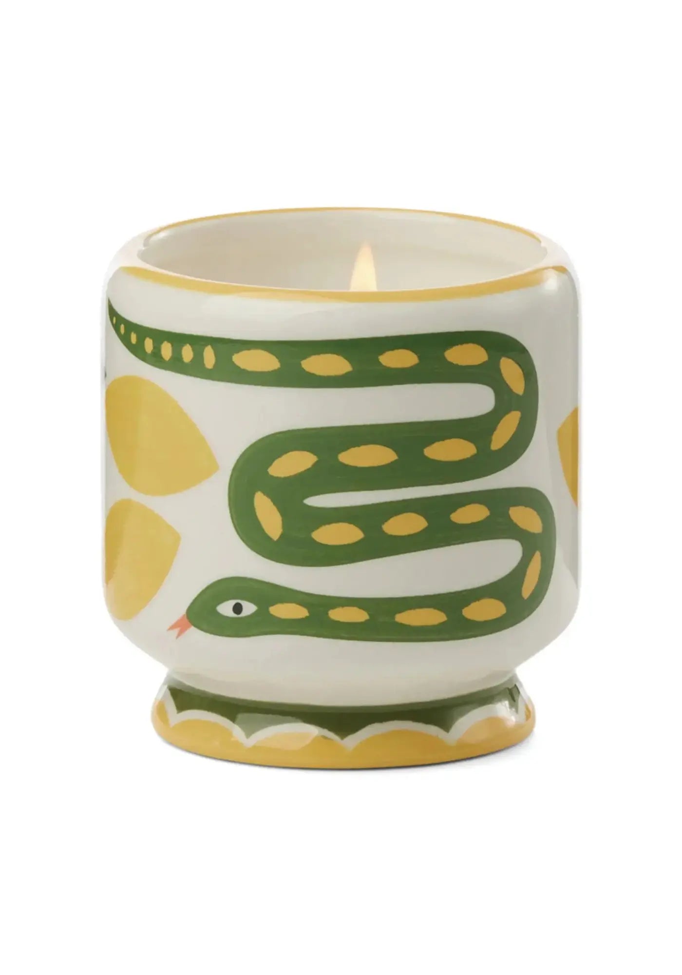 La bougie 226g wild and lemongrass de chez Paddywax