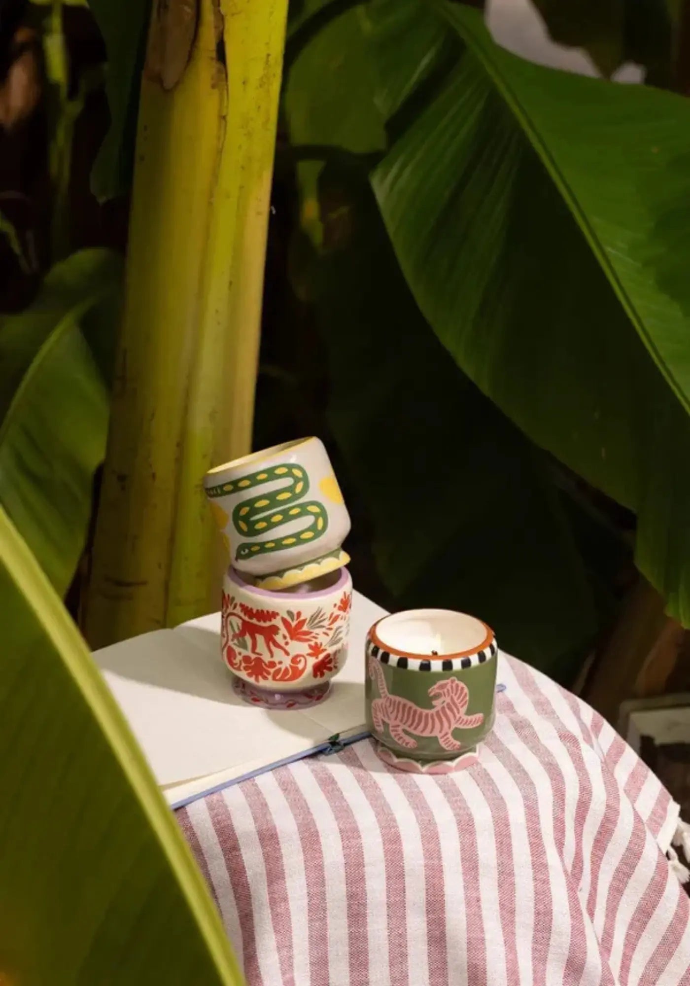 La bougie 226g wild and lemongrass de chez Paddywax