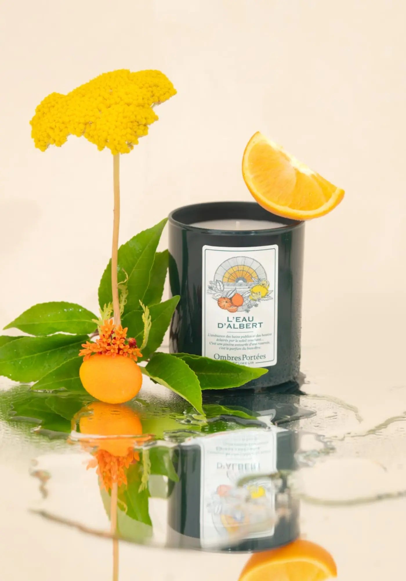 La bougie parfumée Lilloise L'eau d'Albert de chez Ombres Portées