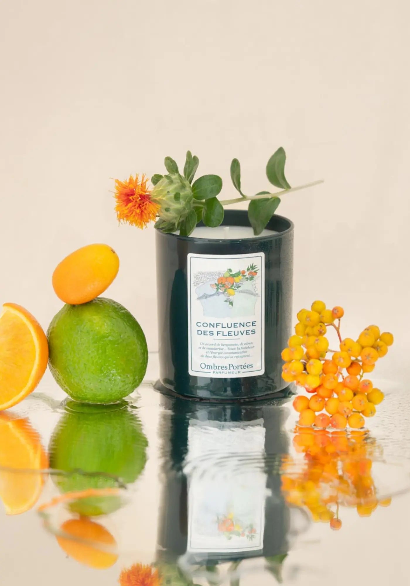 La bougie parfumée Lyonnaise Confluence des fleuves des chez Ombres Portées 