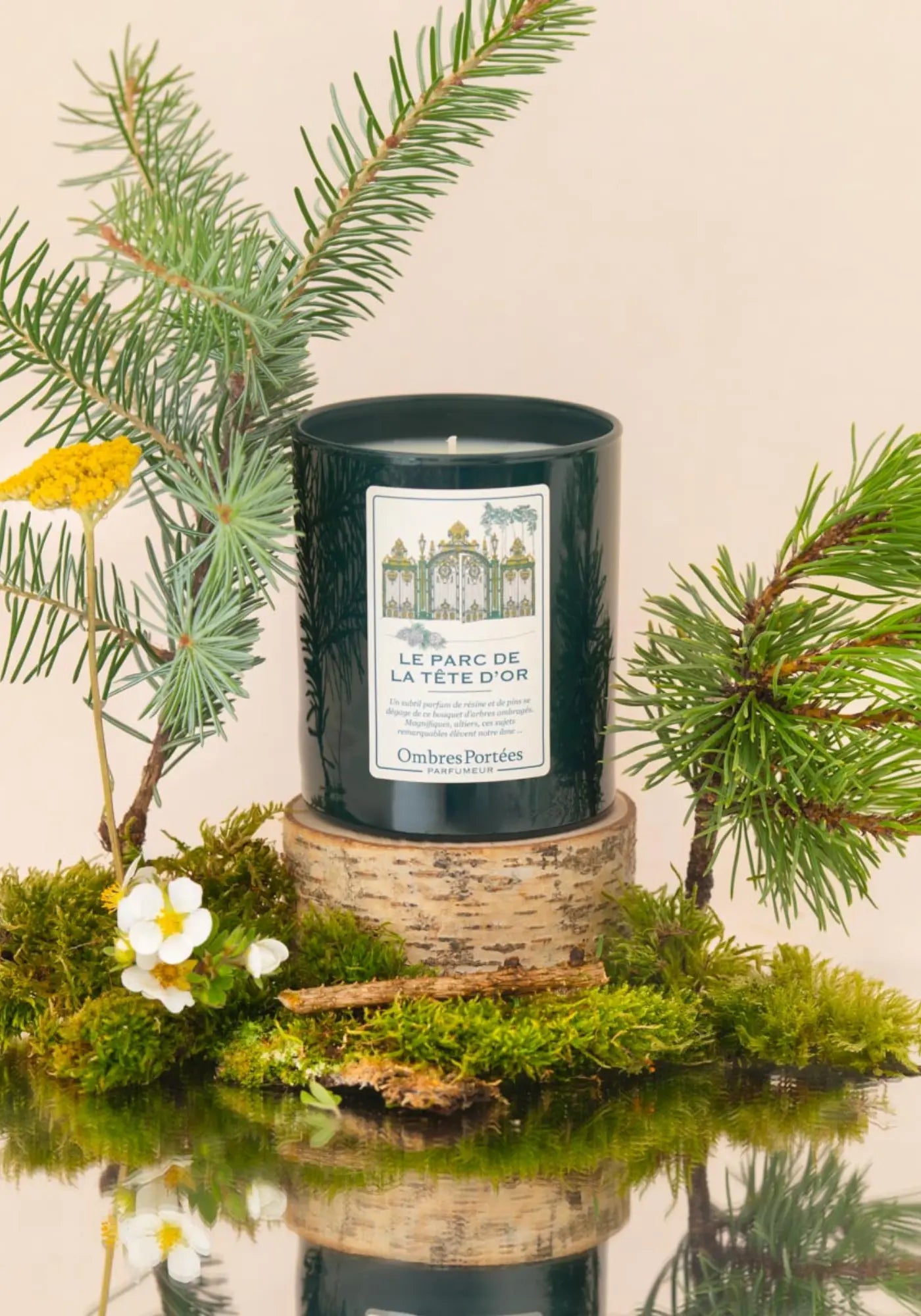 La bougie parfumée Lyonnaise Le Parc de la Tête D'or de chez Ombres Portées