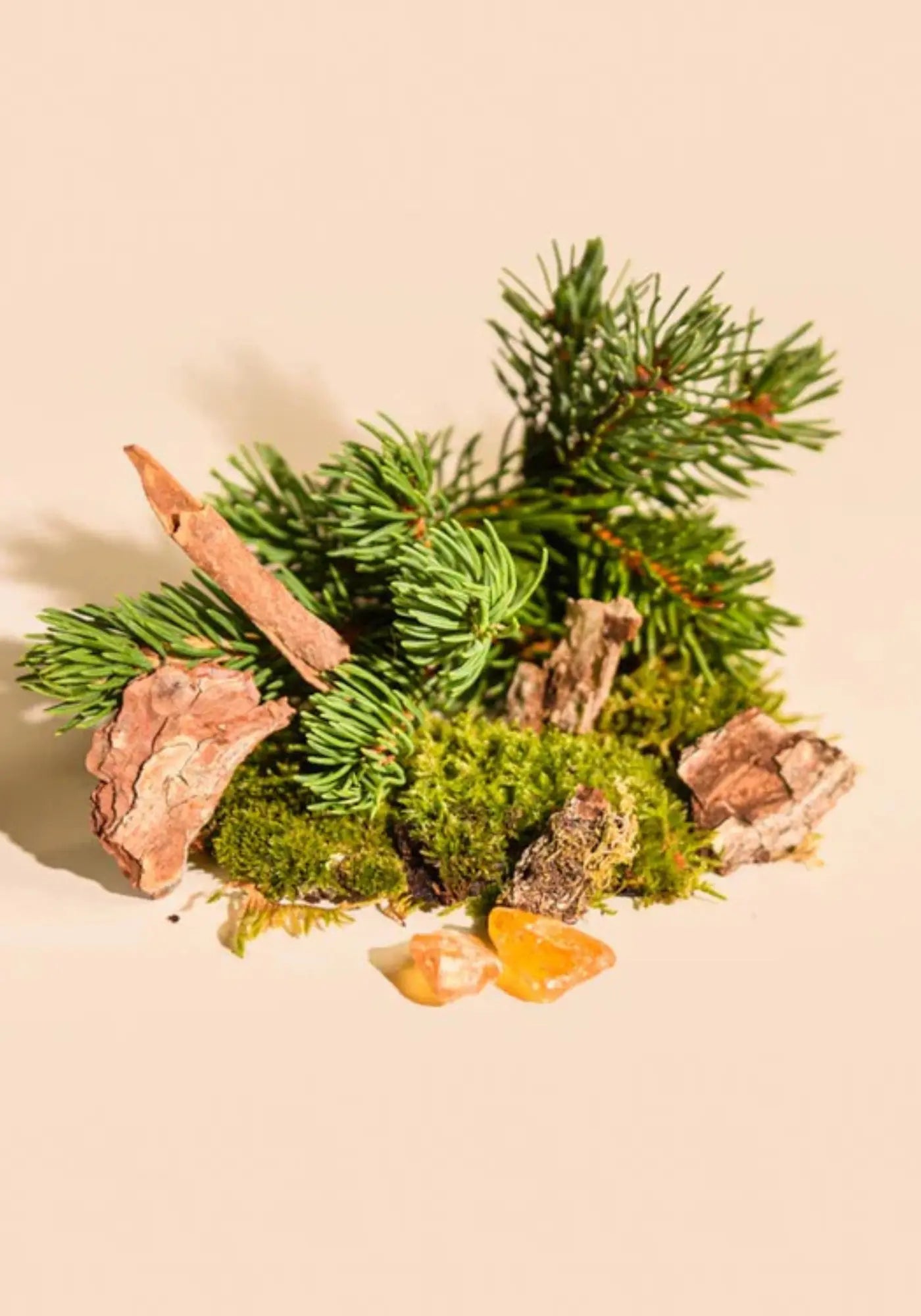La senteur du diffuseur à batonnets 100ml cèdre de chez Tandem Fragrances
