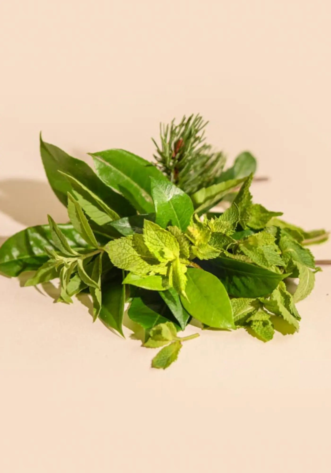 La senteur du diffuseur à batonnets 100ml feuille de menthe de chez Tandem Fragrances