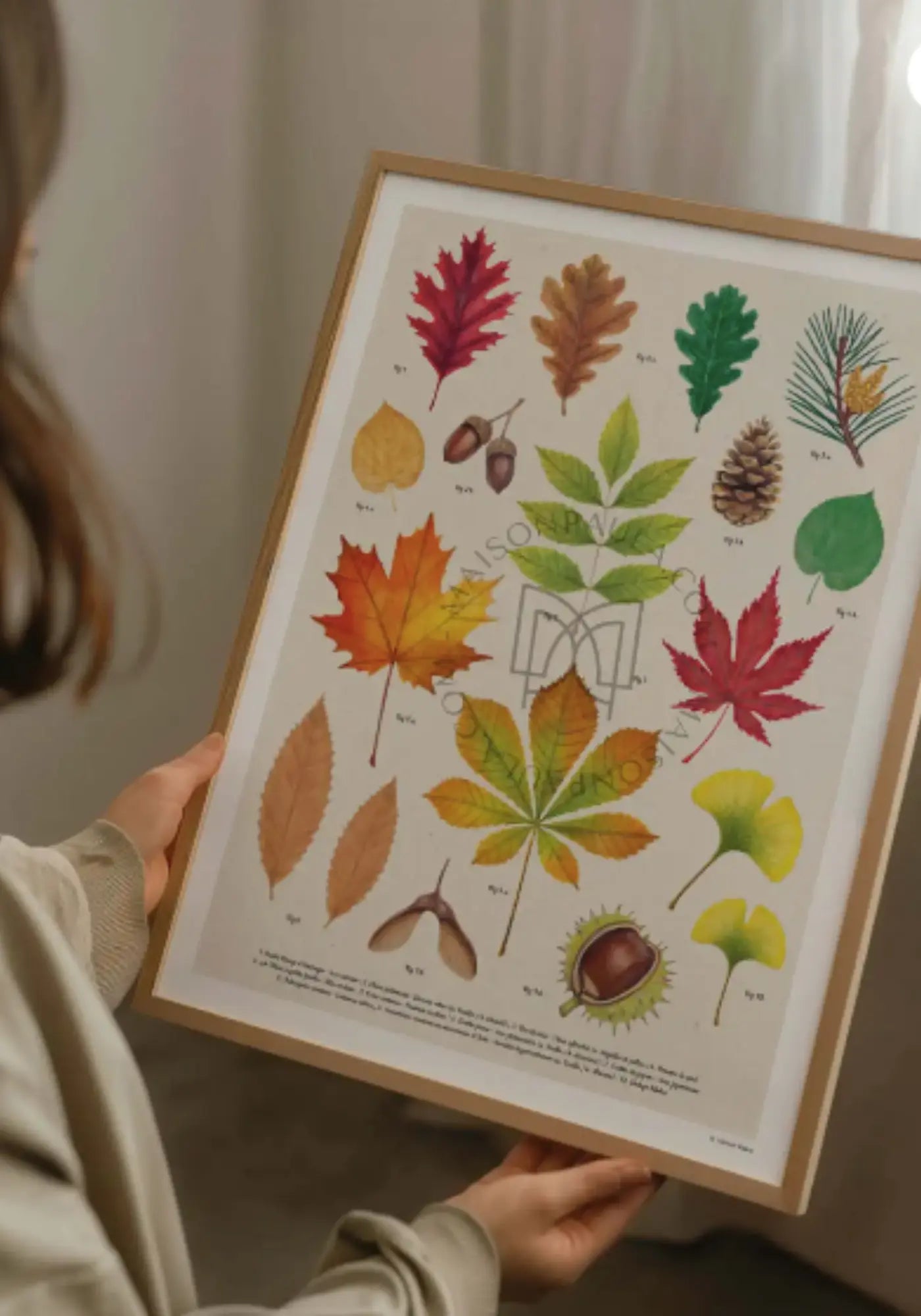 L'affiche 21 x 30 cm herbier de chez Maison Paula