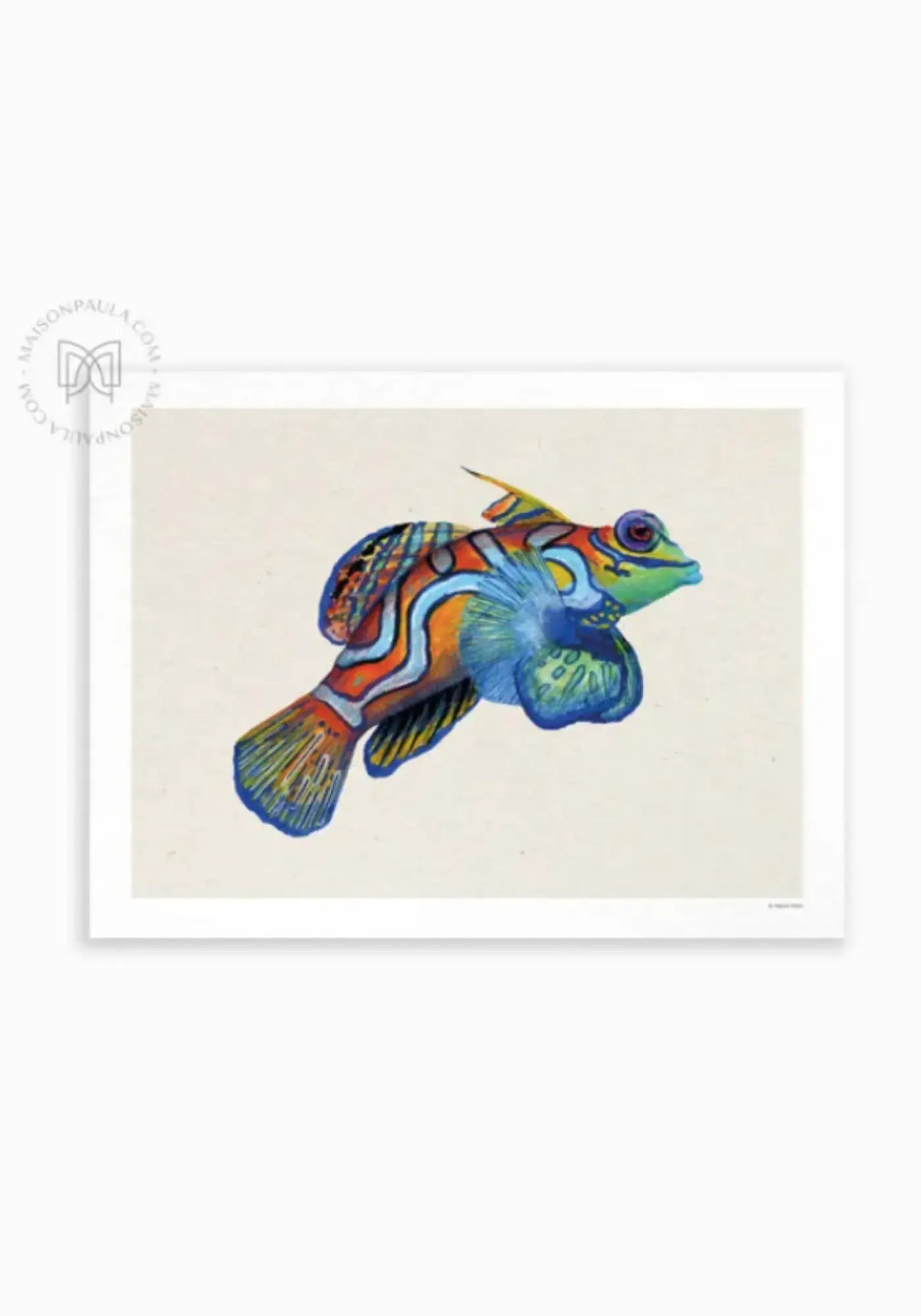 L'affiche 21x30 cm dragonnet mandarin de chez Maison Paula