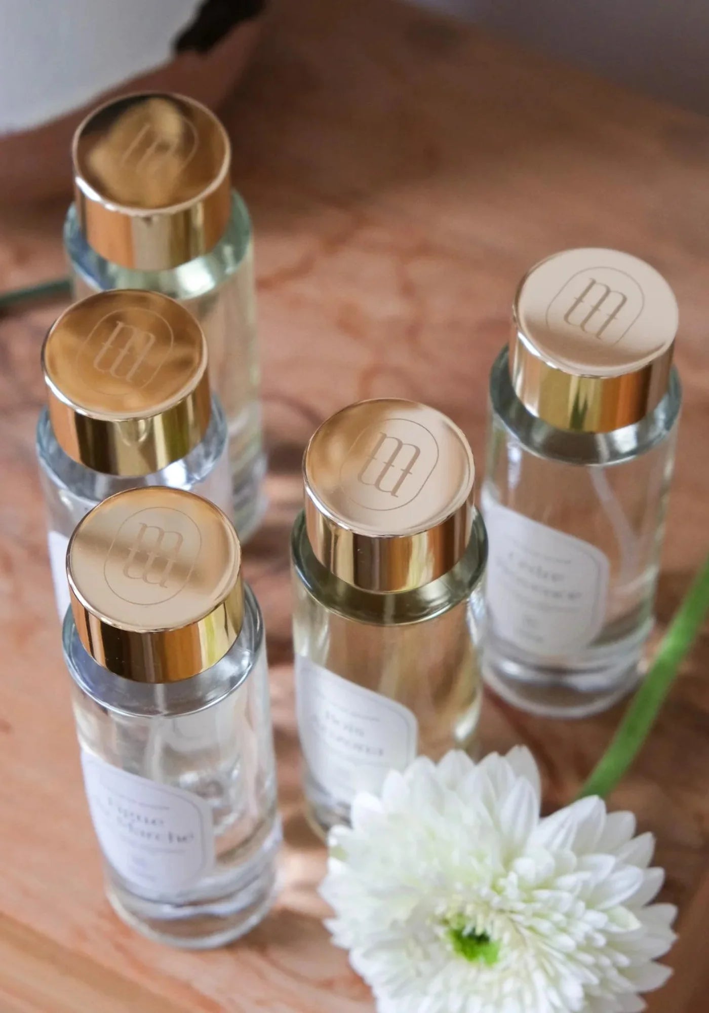 Vue d'en haut sur les bouchons des parfums d'intérieur Cèdre de Provence en 100 ml de chez Maison Maison