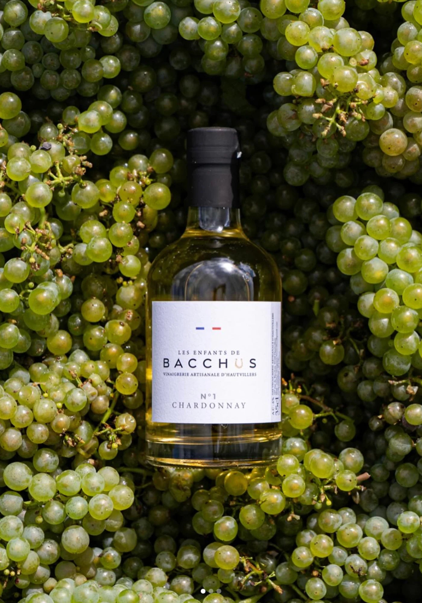 Le vinaigre n°1 chardonnay de chez Les enfants de Bacchus