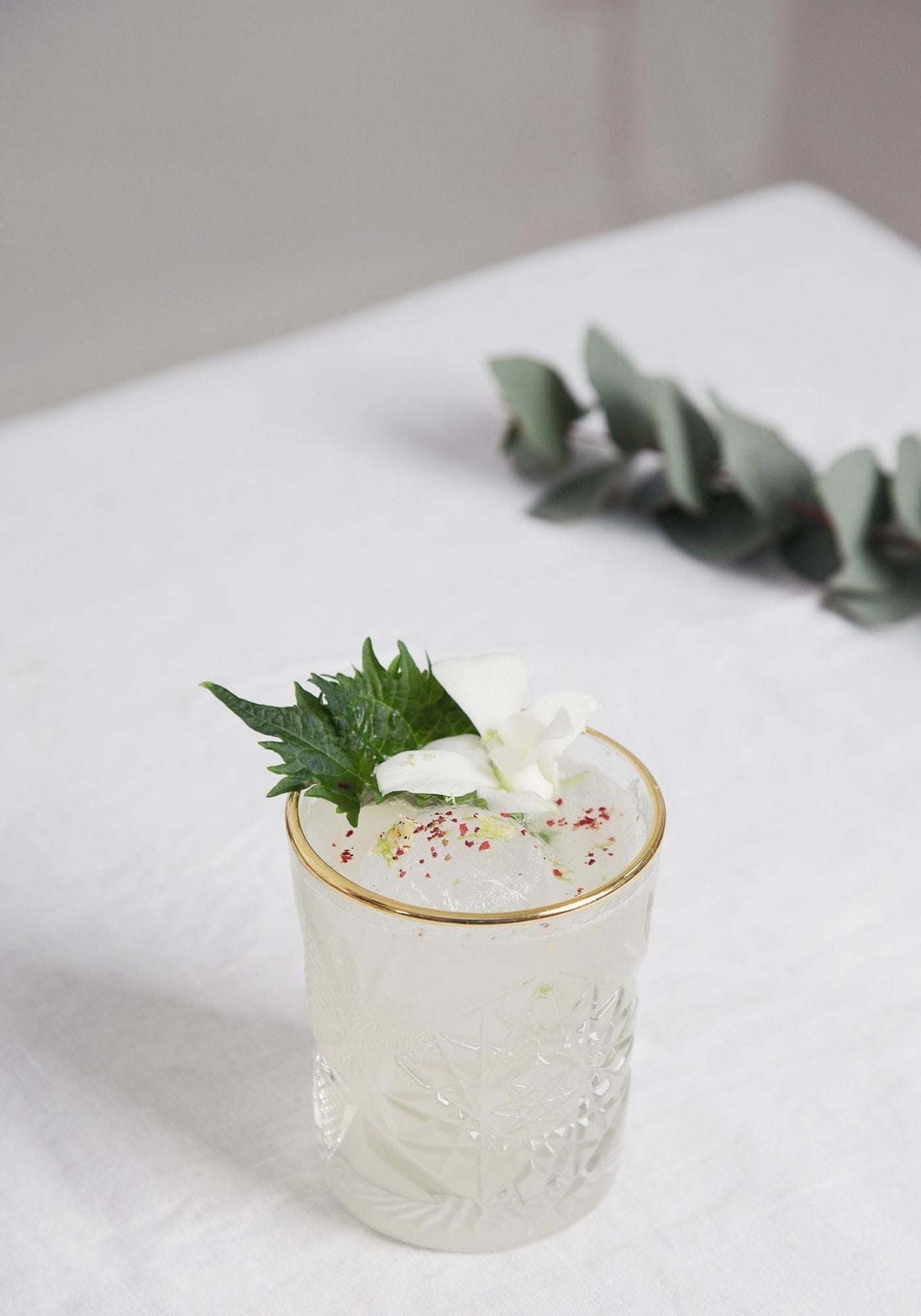 verre-hobstar-clover-gin-avec-cocktail